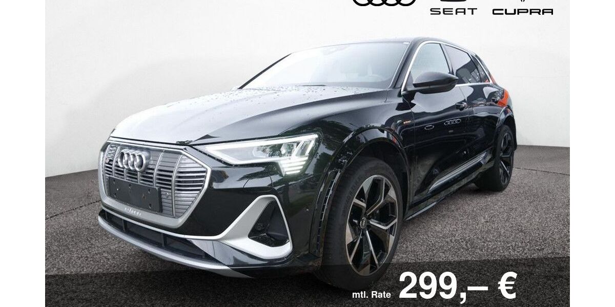 Audi e-tron 132.250 km 31.930 &euro; Bietigheim-Bissingen 74321