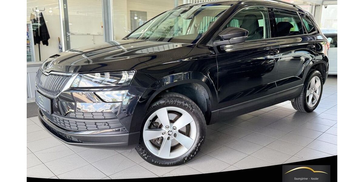 Skoda Karoq 175.000 km 15.950 &euro; Heilbronn 74080