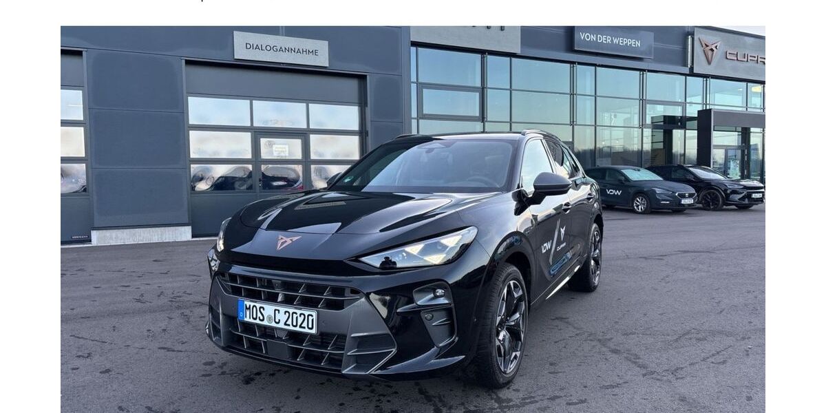 Cupra Terramar 20.000 km 49.990 &euro; Mosbach 74821