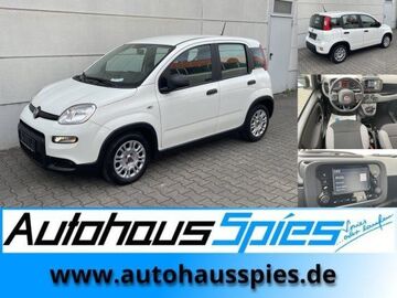 Gebrauchte Fiat Panda