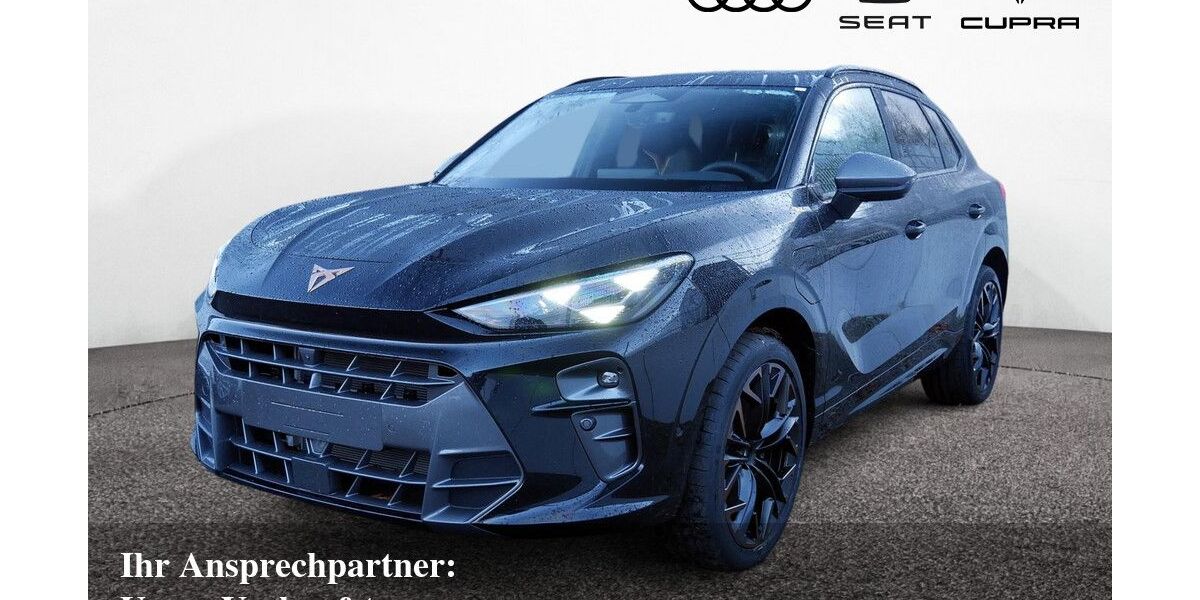 Cupra Terramar 19.500 km 42.870 &euro; Bietigheim-Bissingen 74321