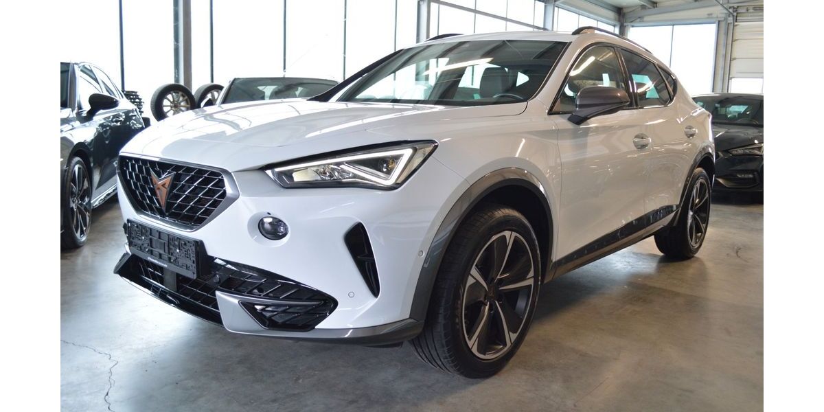 Cupra Formentor 73.100 km 21.990 &euro; Neckarsulm 74172