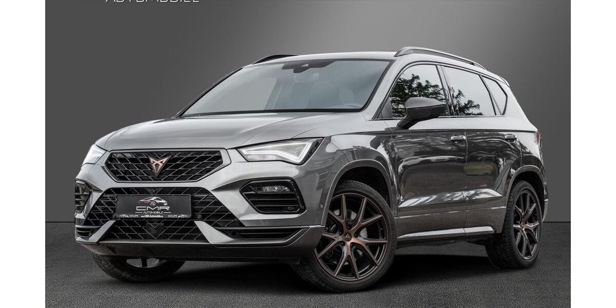 Cupra Ateca 87.788 km 29.383 &euro; Roigheim 74255