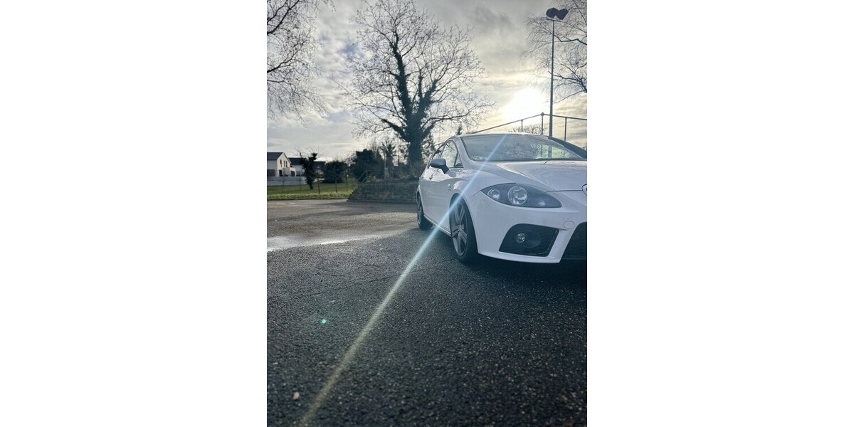 Seat Leon 171.878 km 6.299 &euro; Güglingen 74363