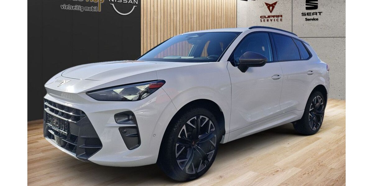 Cupra Terramar 17.200 km 43.990 &euro; Murr 71711