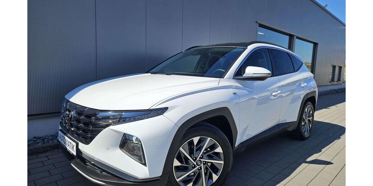 Hyundai TUCSON 102.000 km 21.790 &euro; Sinsheim 74889