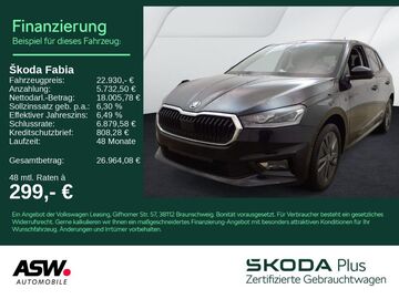 Gebrauchte Skoda Fabia