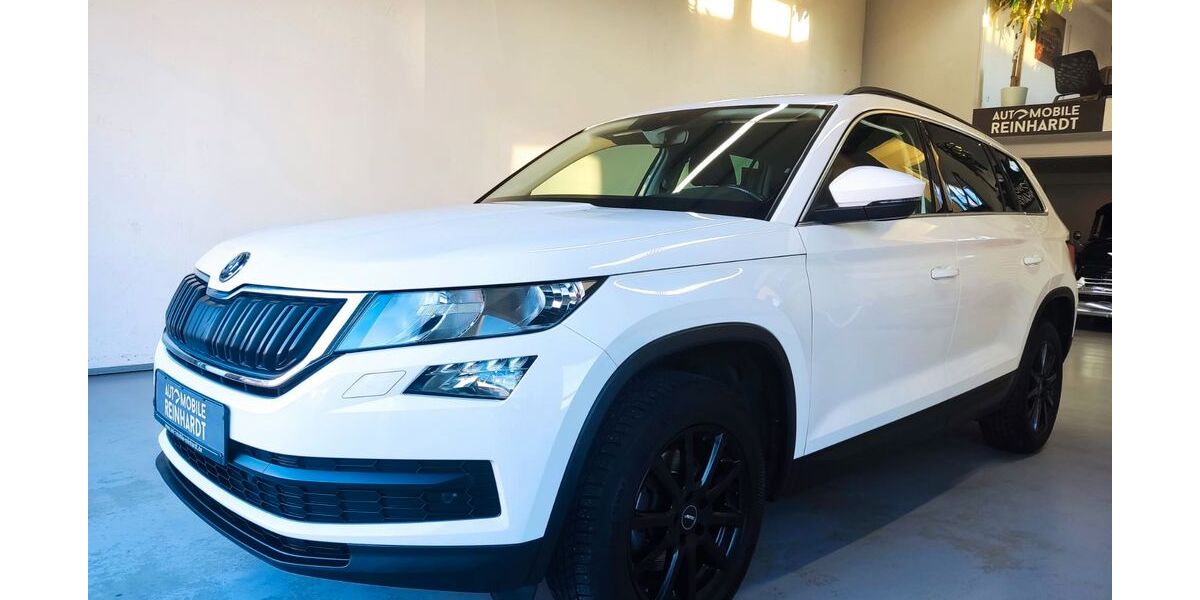 Skoda Kodiaq 195.000 km 17.455 &euro; Heilbronn-Talheim 74388