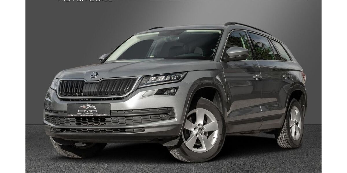 Skoda Kodiaq 174.599 km 20.990 &euro; Roigheim 74255