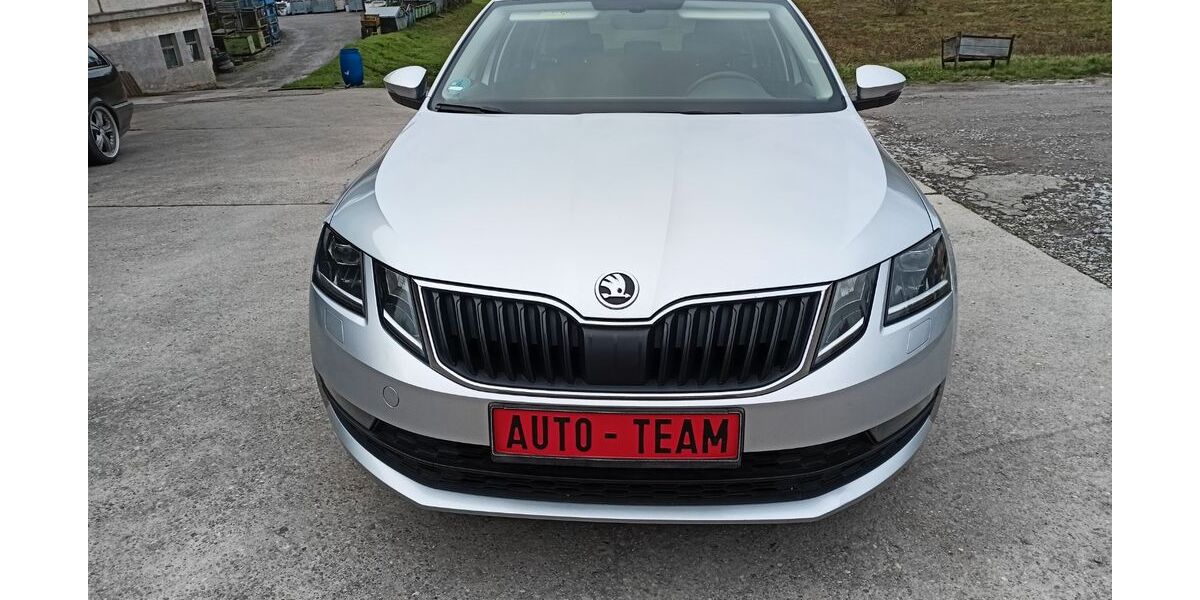 Skoda Octavia 333.500 km 7.844 &euro; Möckmühl 74219