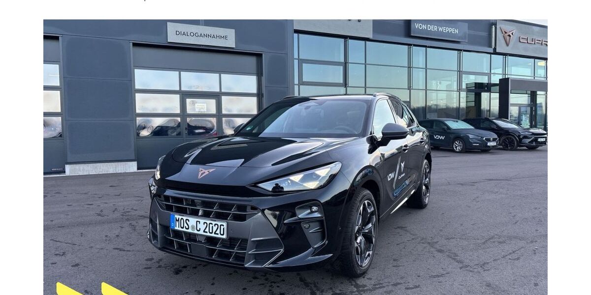 Cupra Terramar 20.000 km 49.990 &euro; Heilbronn 74076