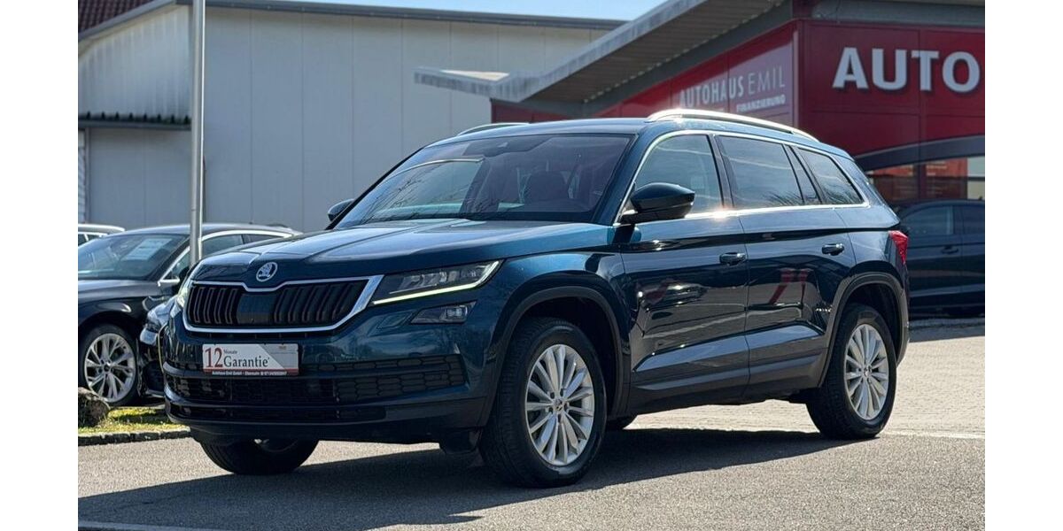 Skoda Kodiaq 133.300 km 27.490 &euro; Obersulm 74182