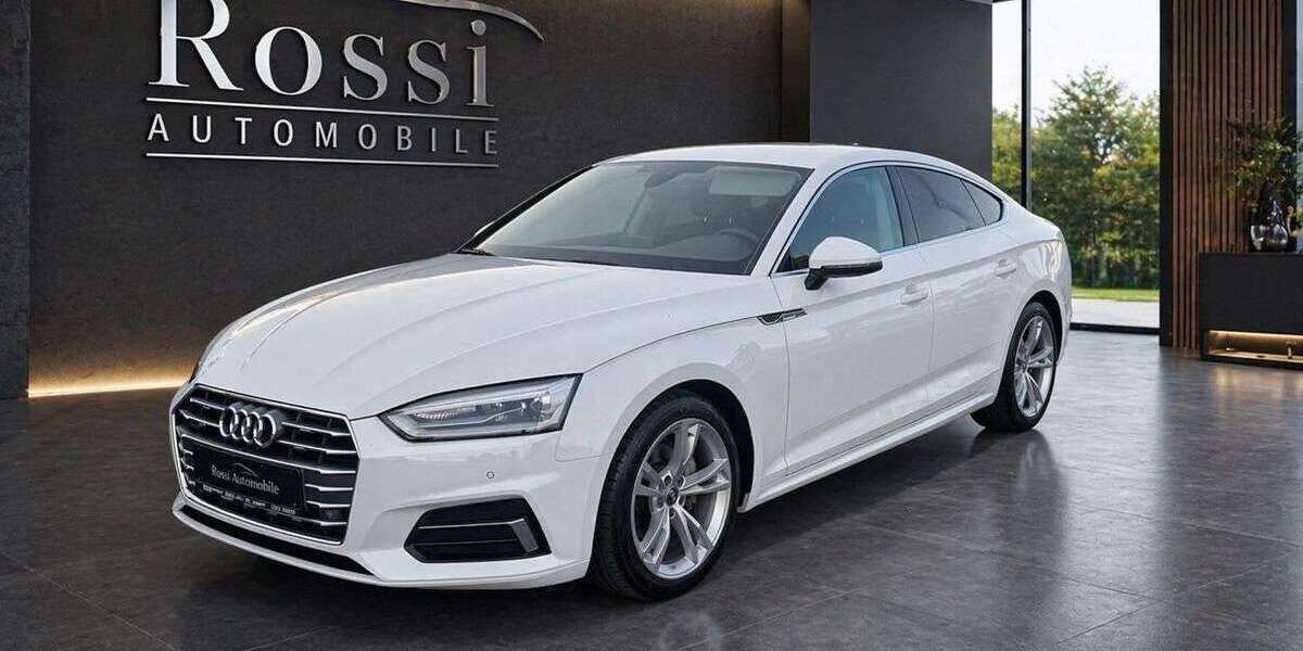 Audi A5 173.500 km 19.650 &euro; Heilbronn 74072