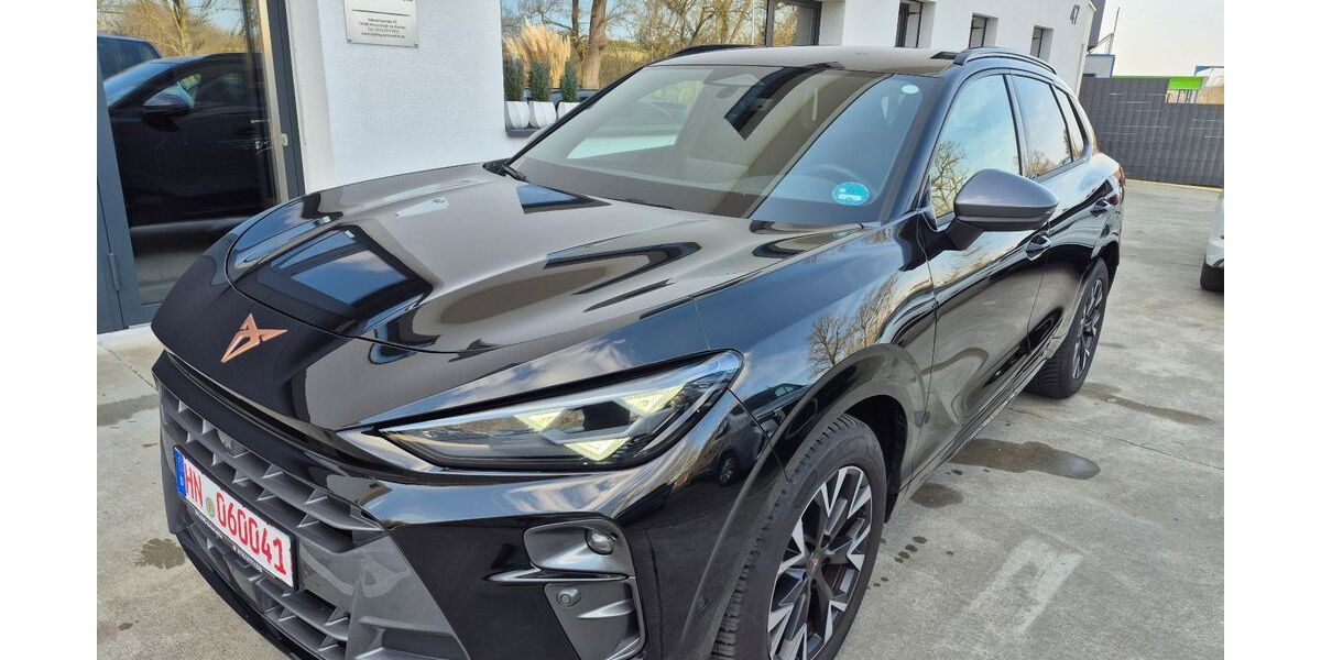 Cupra Terramar 9.802 km 31.150 &euro; Neuenstadt am Kocher 74196