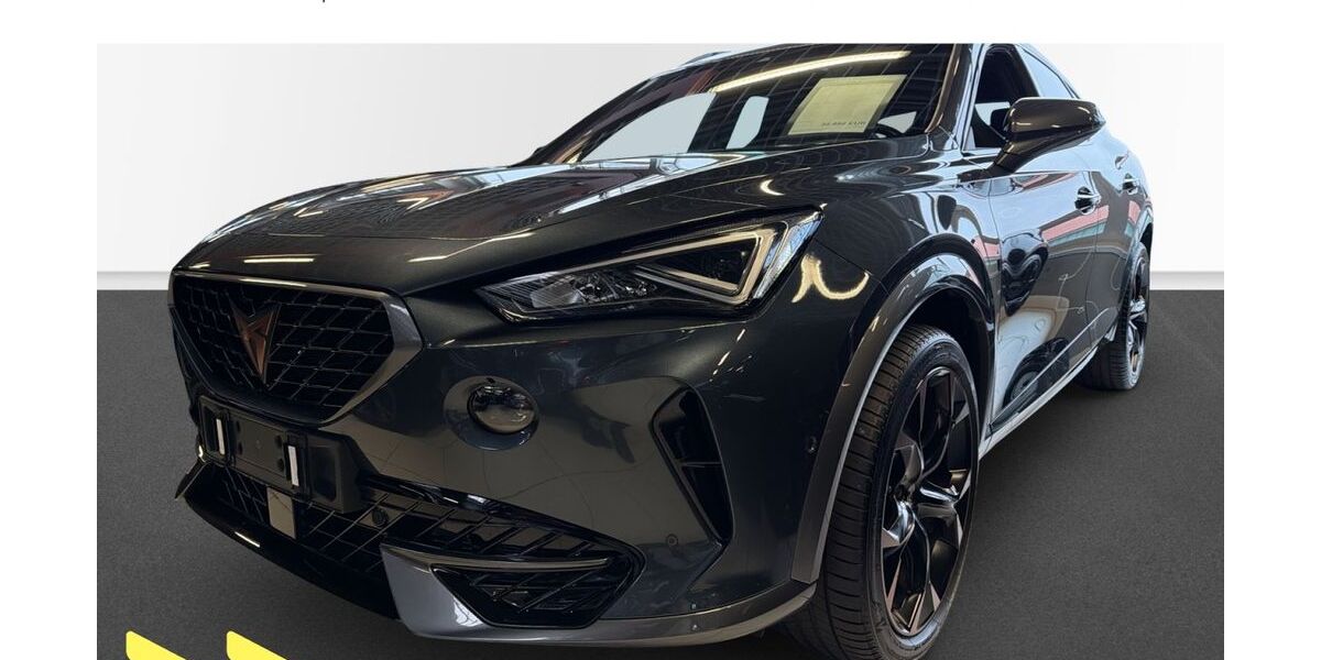 Cupra Formentor 23.700 km 31.980 &euro; Heilbronn 74076