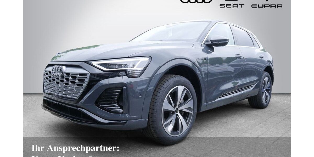 Audi Q8 e-tron 8.500 km 43.890 &euro; Bietigheim-Bissingen 74321