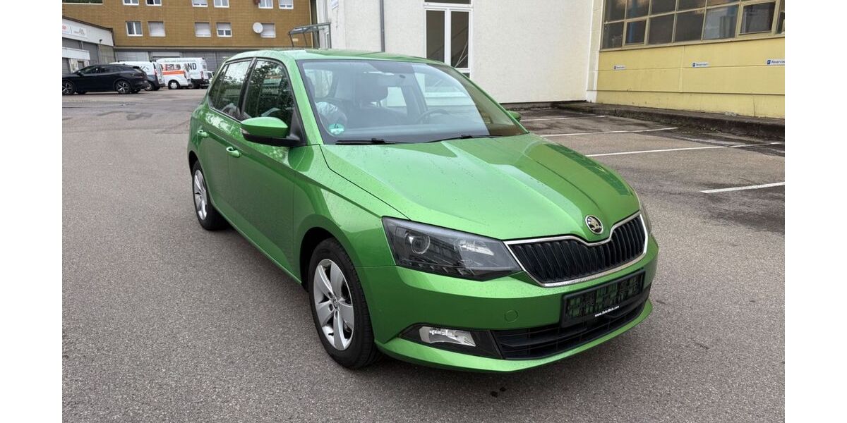 Skoda Fabia 118.950 km 8.950 &euro; Möglingen 71696