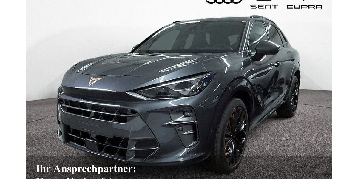 Cupra Terramar 3.500 km 44.970 &euro; Bietigheim-Bissingen 74321